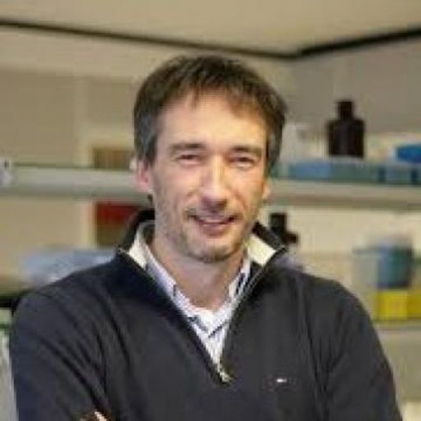 Prof. Olivier De Wever