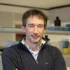 Prof. Olivier De Wever